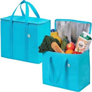 Promotional Cheap Soft Wine Food Delivery Can Thermal Small Insulated Cooler Lunch Bag for Travel Picnic