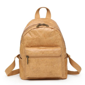 Eco-friendly Waterproof Lightweight Tyvek Paper SchoolBag Dupont Tyvek Paper Backpack Customize logo